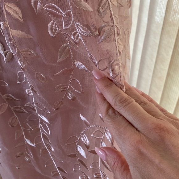 Pink champagne Embroidered crinoline  dress - Picture 4 of 4